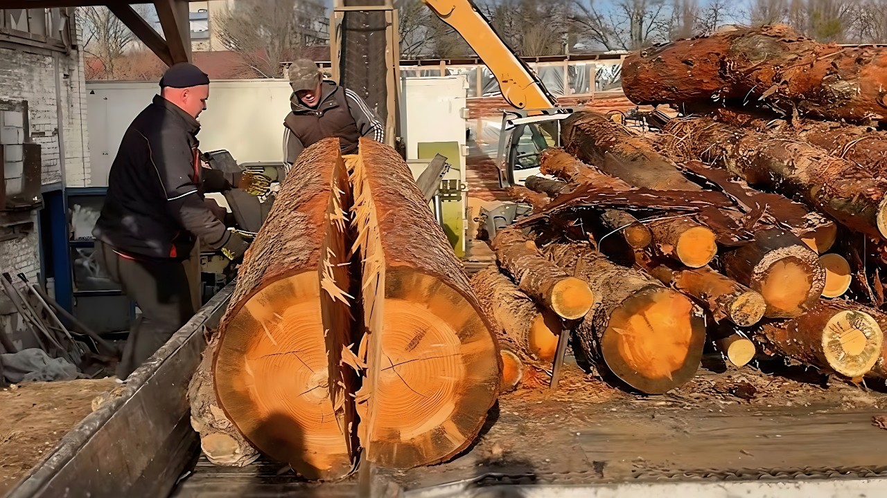 Two Humans Clearing a Massive Log Jam/