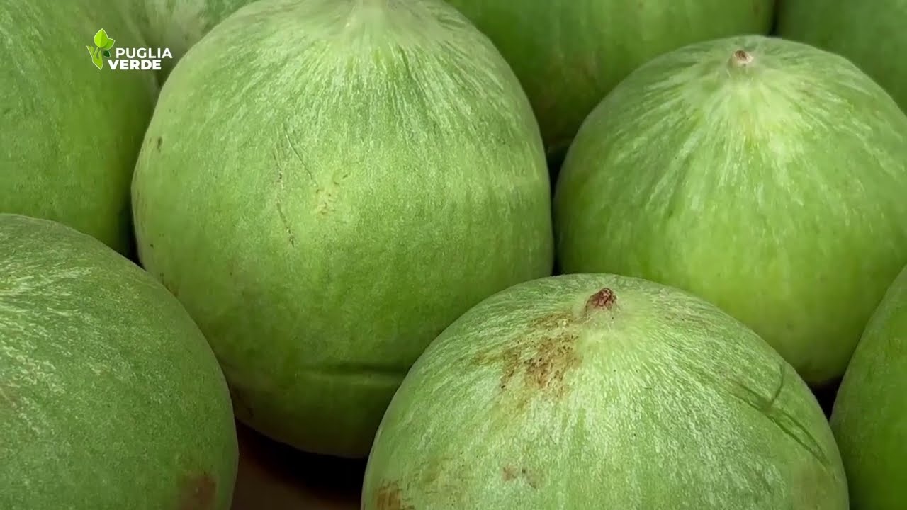 BARATTIERI, LA FRESCHEZZA IN TAVOLA