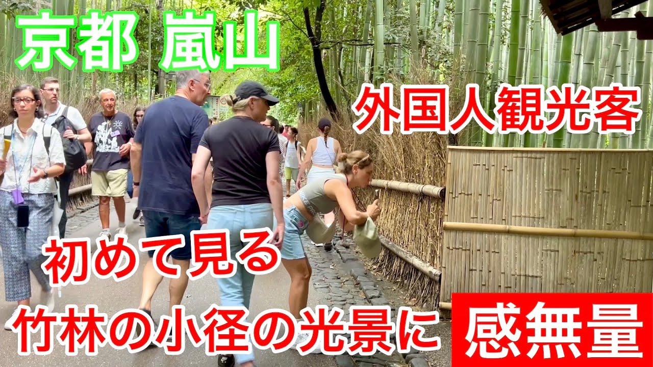 2025年8月7日 外国人観光客 初めて見る嵐山の竹林の光景に感無量 Arashiyama, Kyoto