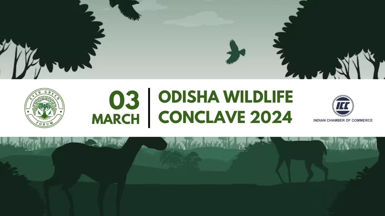 🔴 LIVE | Talk of Odisha Wildlife Conclave 2024 | Ever Green Forum