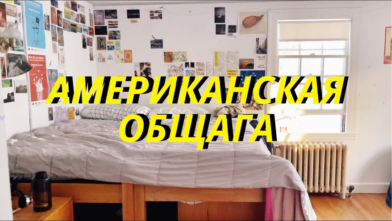 ТУР ПО ОБЩАГЕ В США: Живу с Крысами