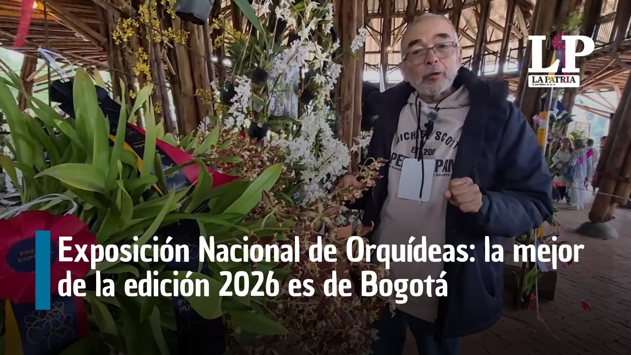 Exposición Nacional de Orquídeas en Manizales: la mejor de la edición 2026 es de Bogotá, conózcala