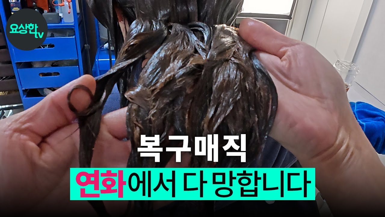 복구매직이 계속 망하는 진짜 이유