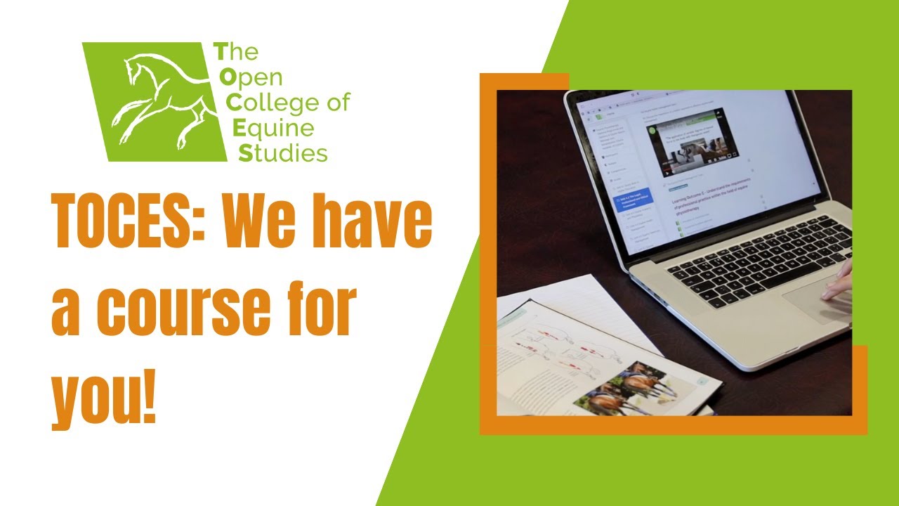 TOCES: We have a course for you!