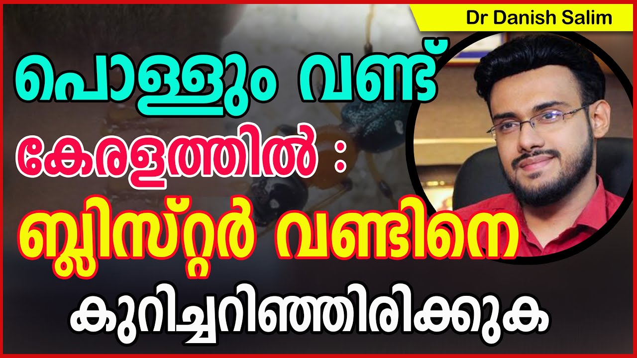 775: പൊള്ളും വണ്ട്’ കേരളത്തിൽ : ബ്ലിസ്റ്റർ വണ്ടിനെ കുറിച്ചറിഞ്ഞിരിക്കുക | Blister Beetle in Kerala
