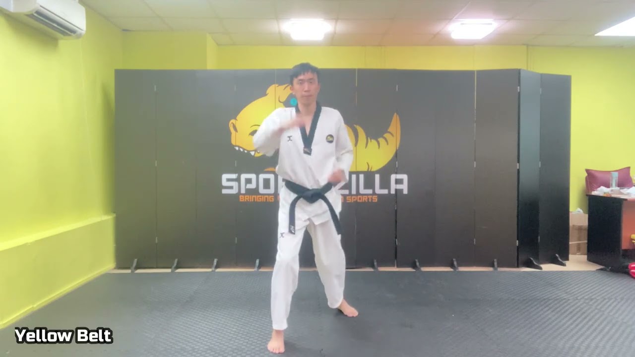 Yellow Belt Pattern | Singapore Taekwondo Tutorial