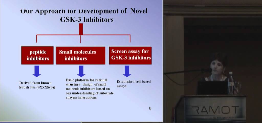GSK-3 Inhibitors - Treatment of Diabetes and CNS Disorders: Targeting the Substrate Binding Site