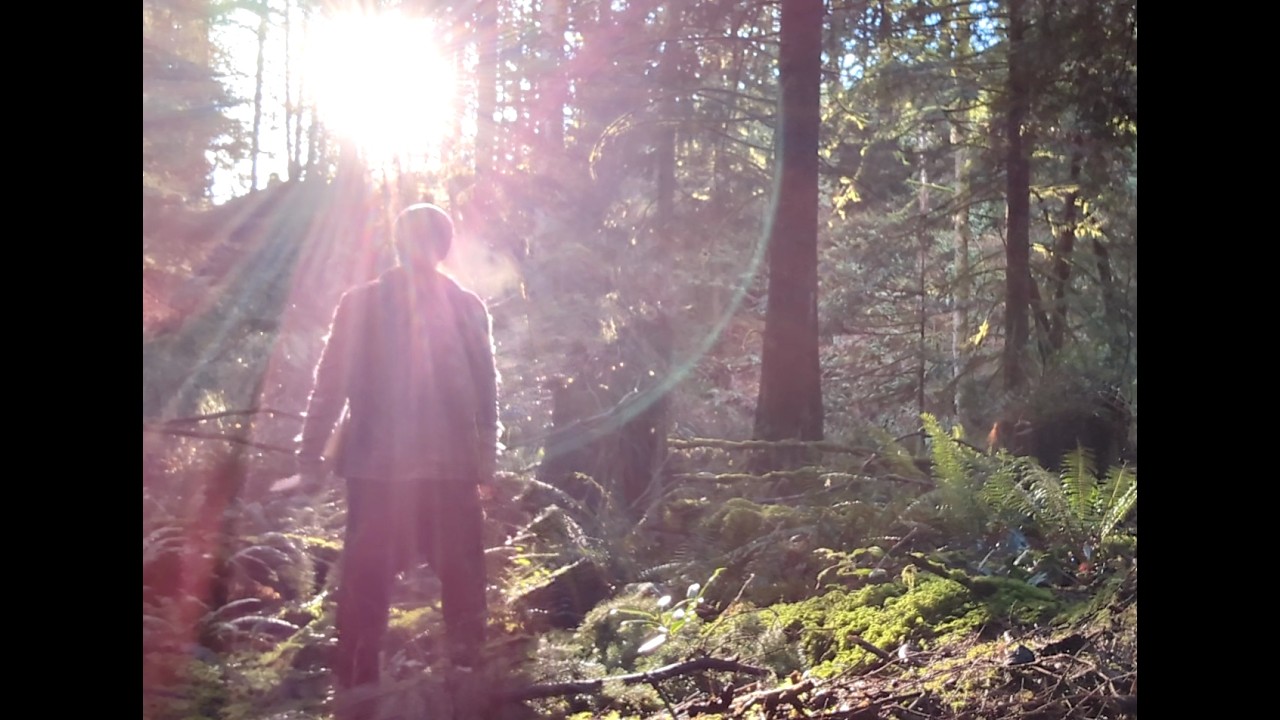 Welcome to Middle Earth - Original Song - Meditative sound journey - ASMR (Lotr inspired)