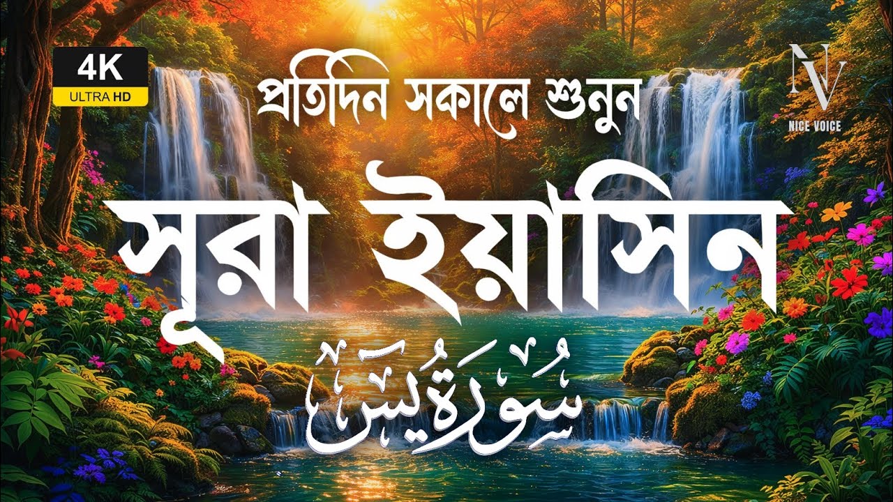 মন জুড়ানো তেলাওয়াত 🤍 (سورة يس) সূরা ইয়াসিন | Surah Yaseen | Alaa Aqel | Nice Voice