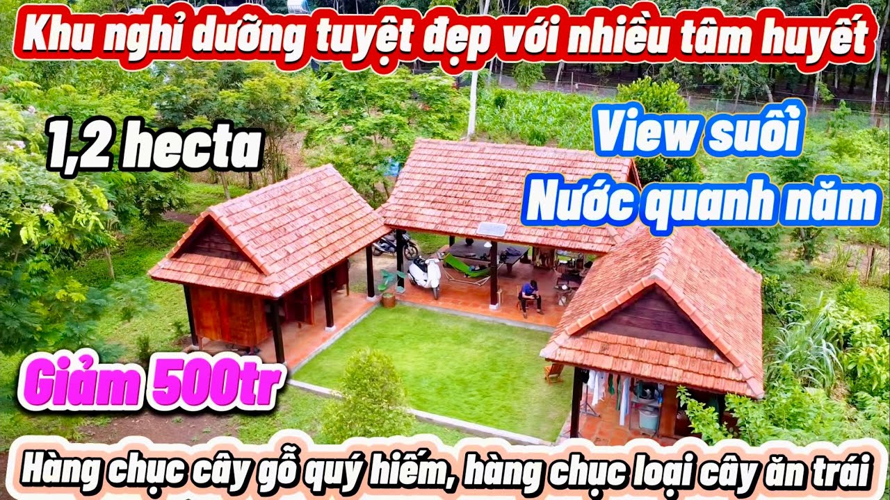 Sẵn mô hình nghỉ dưỡng cực vip. Giảm cái một 500tr. Đẹp mà ngộp.. Bán trong nước mắt. Nhanh còn kịp
