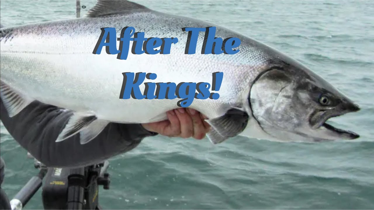 After the Kings