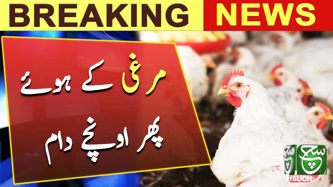 Chicken prices going to increase again | Such News