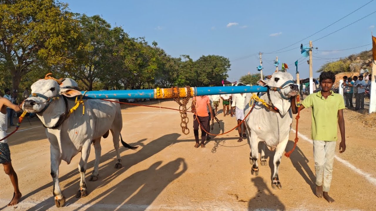 కల్లూరు న్యూ కేటగిరి విభాగంలో 9వ జత DR A గురునాథ్