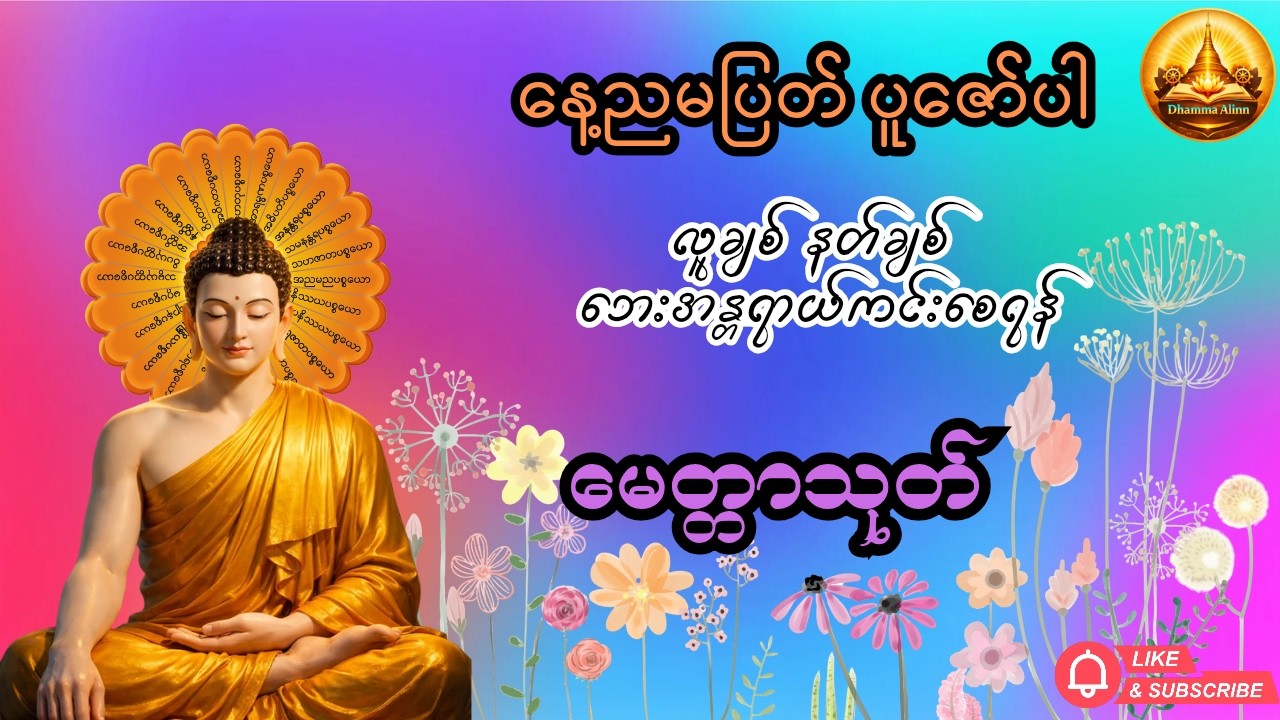 🙏မေတ္တာသုတ်  🙏 #buddha #တရားတော်များ