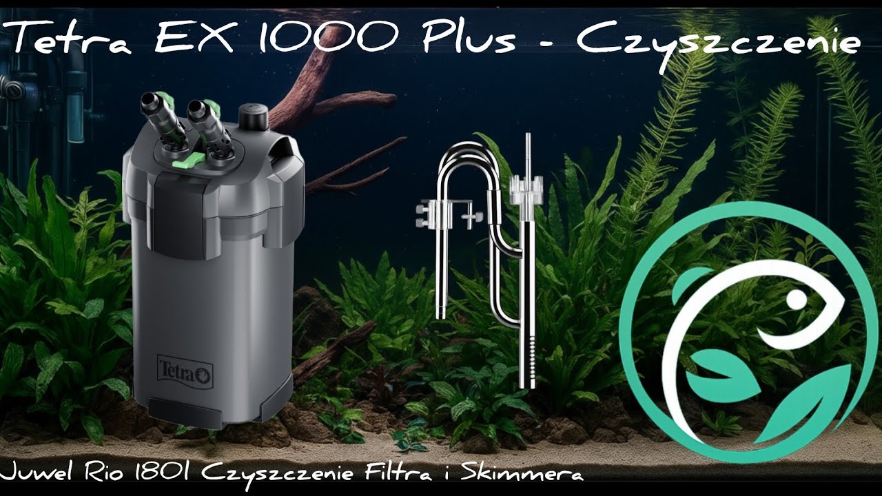 Tetra EX 1000 Plus – czyszczenie filtra i skimmera w akwarium 180 l