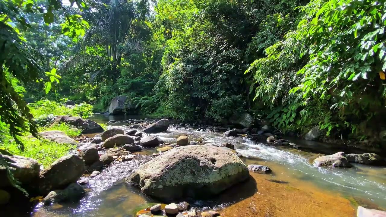 💤Fall Asleep Fast 💤 | Gentle River Sounds Over Stones in Quiet Green Valley