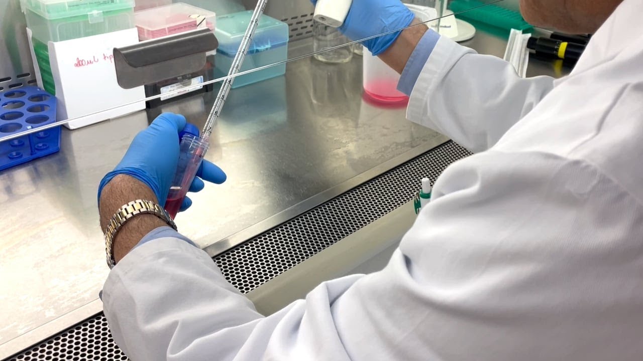 AU researchers find new treatment for fentanyl users through CBD therapy