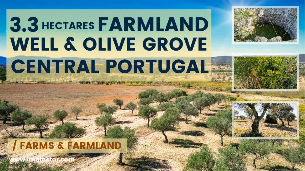 🌾 3.3 Hectares Farmland for Sale | Central Portugal | €39000