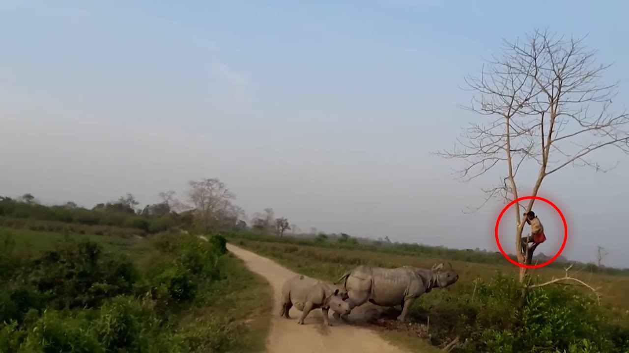Неправомерные встречи: Люди на чужой территории