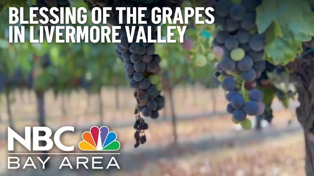 Blessing of the grapes in Livermore Valley wine country
