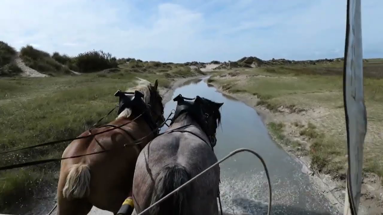Texel tip: Huifkartocht Jan Plezier | De Krim Texel