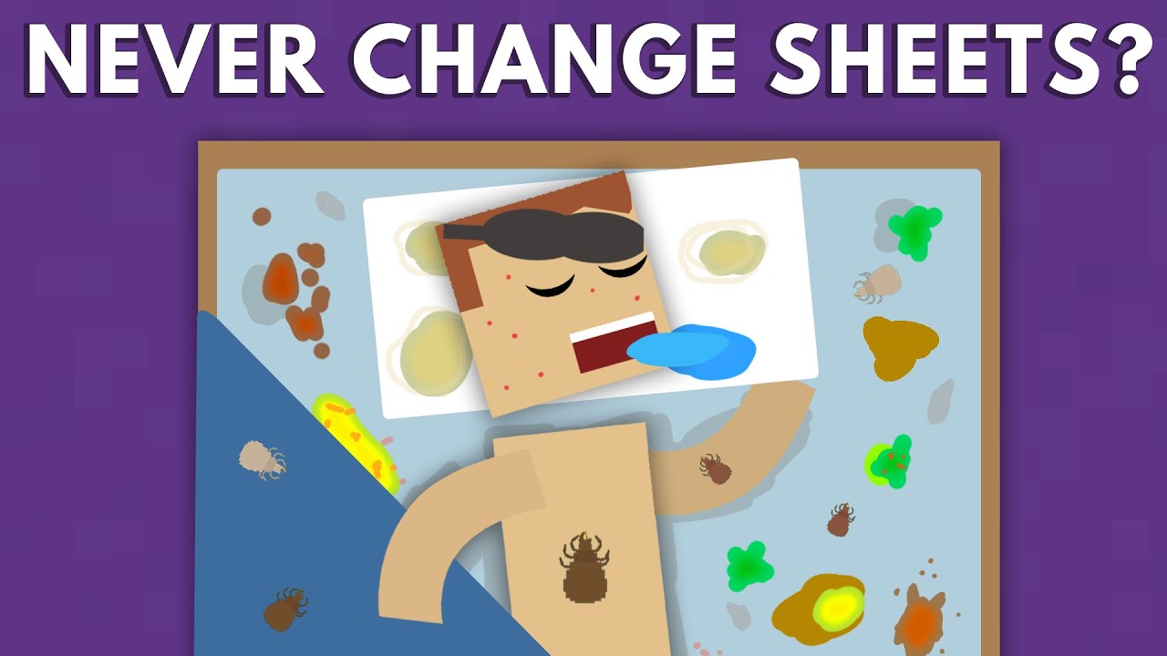 What Happens If You Never Change Your Sheets?