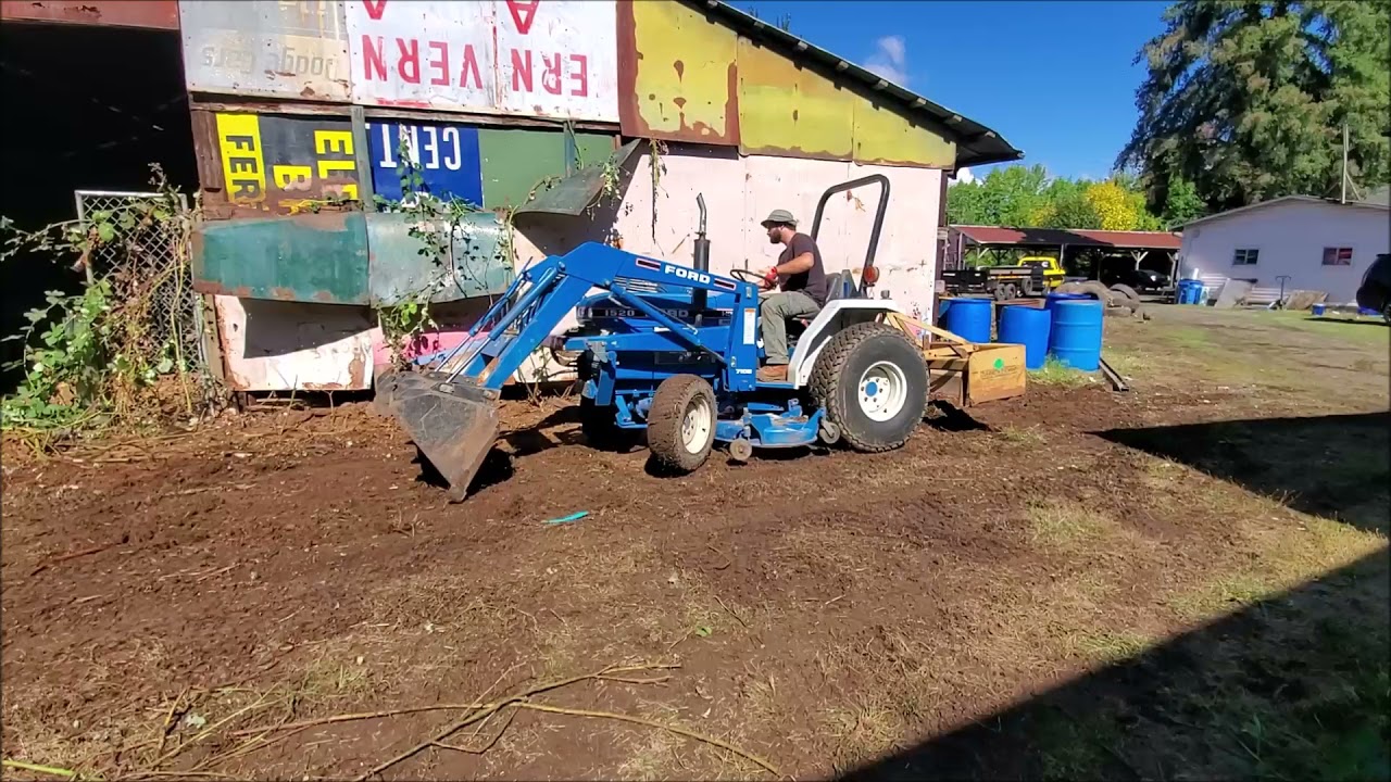 Clearing out a property full of blackberry bushes pt.1