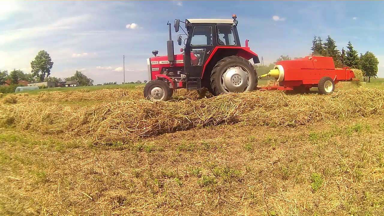 Prasowanie sianka MF-255 i prasa sipma z-224 Zapraszamy !