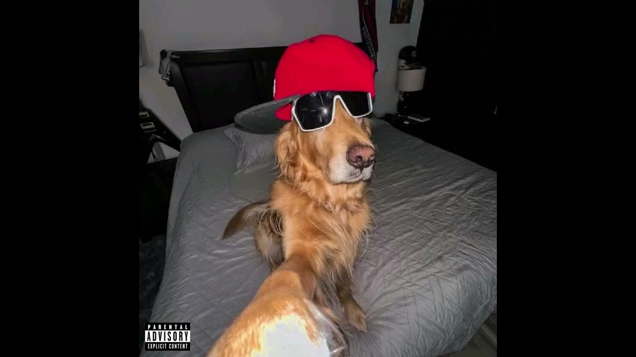 perelo - wolałem ca$h (prod. Rey Pandora Beats)