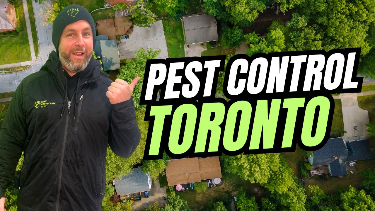 Toronto Pest Control by Pest Protection Plus!