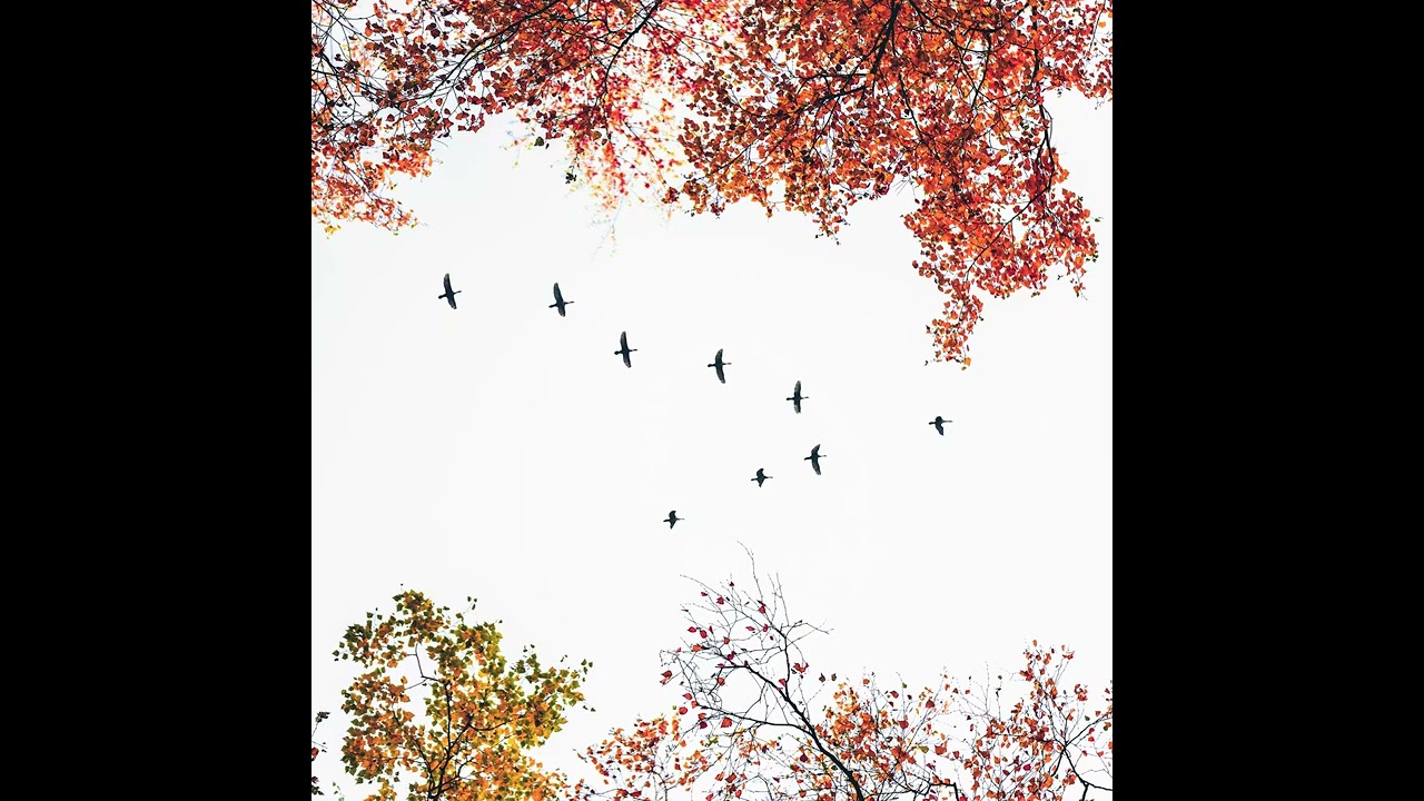 Aleksey Chistilin - November Wind