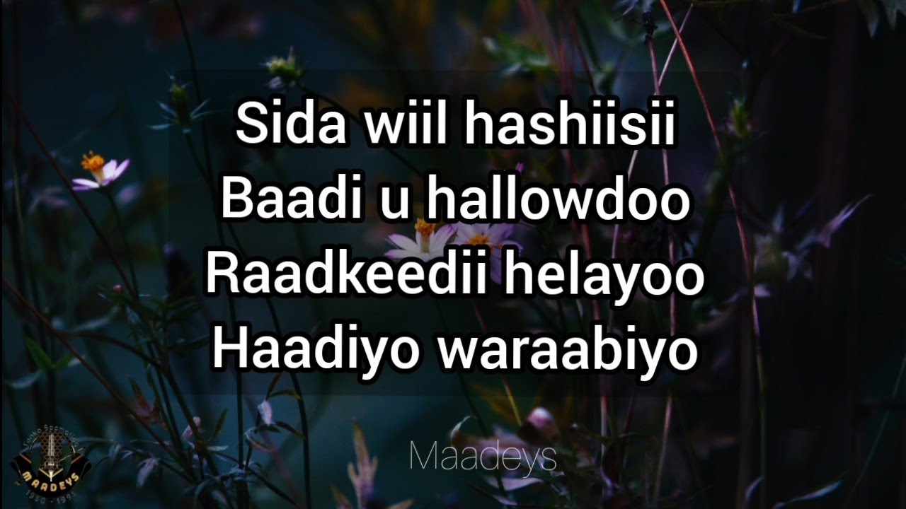HEES | Ma Hurdaan Ledayaa | Xasan Diiriye Iyo Saafi Ducaale| ORIGINAL