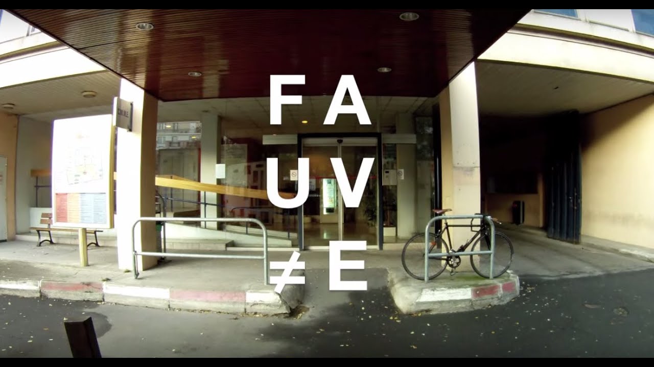 FAUVE &ne; SAINTE ANNE
