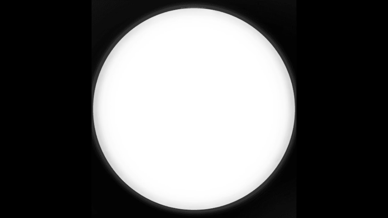 Korpit