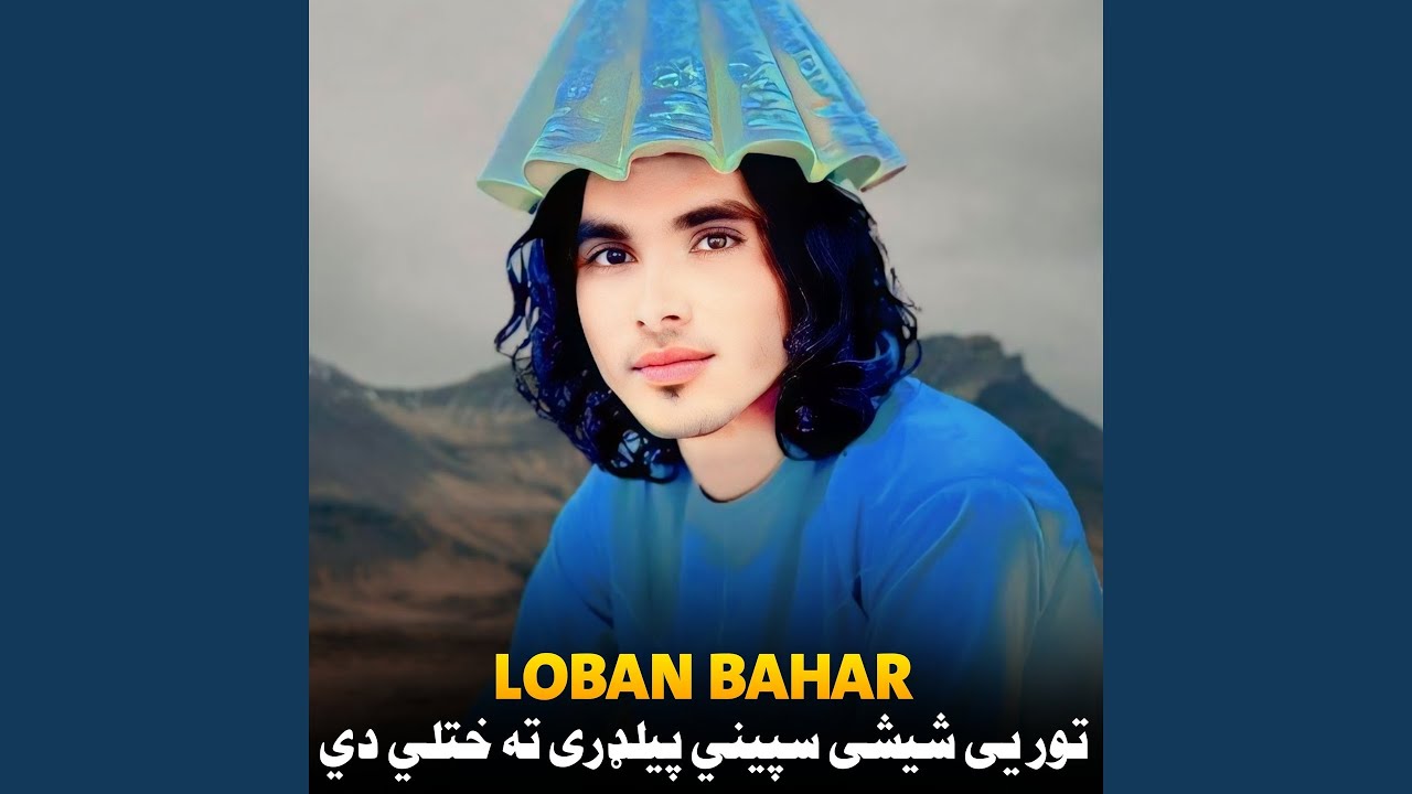 تور يی شیشی سپيني پيلډری ته ختلي دي