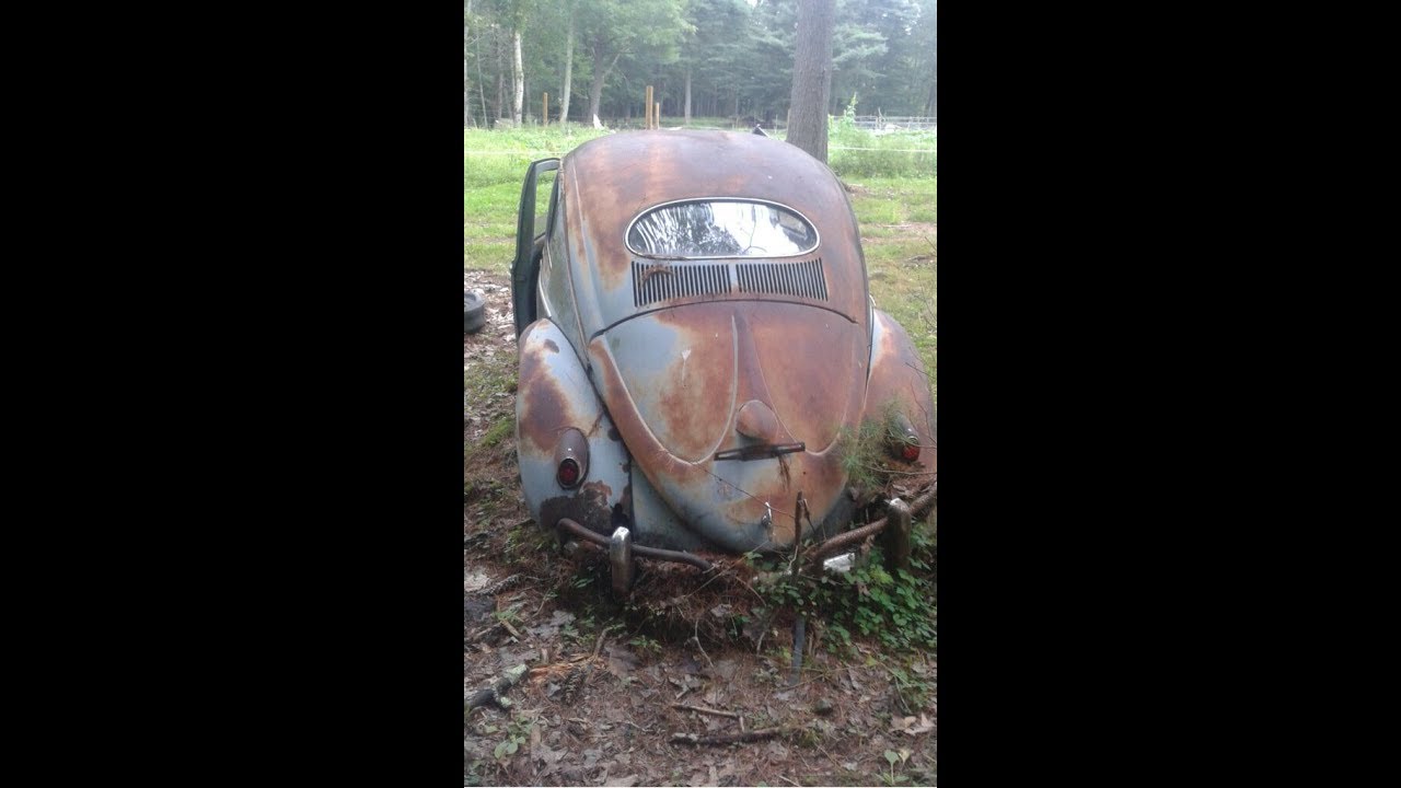 На ферме в штате Мэн найден Volkswagen Beetle 1957 года с овальным окном: спасение насекомых Volk...