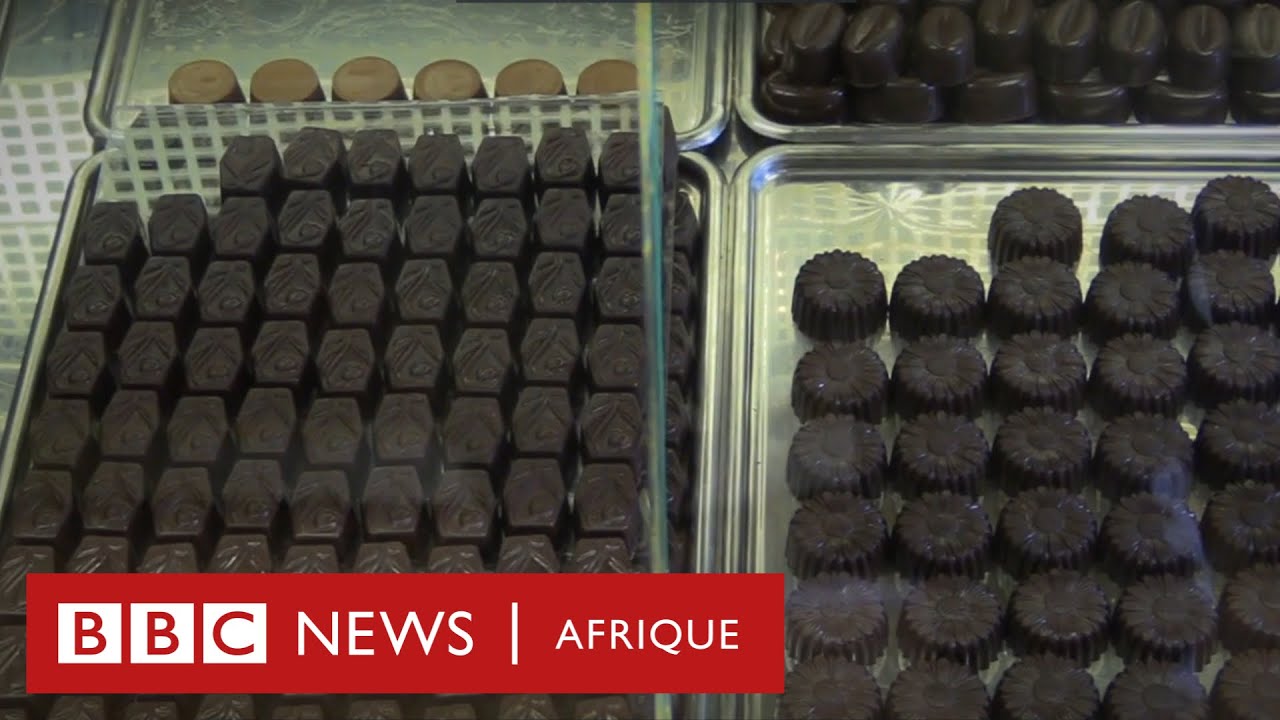 Chocolat du Gabon, des champs de cacao à la boutique, entretien avec une chocolatière locale
