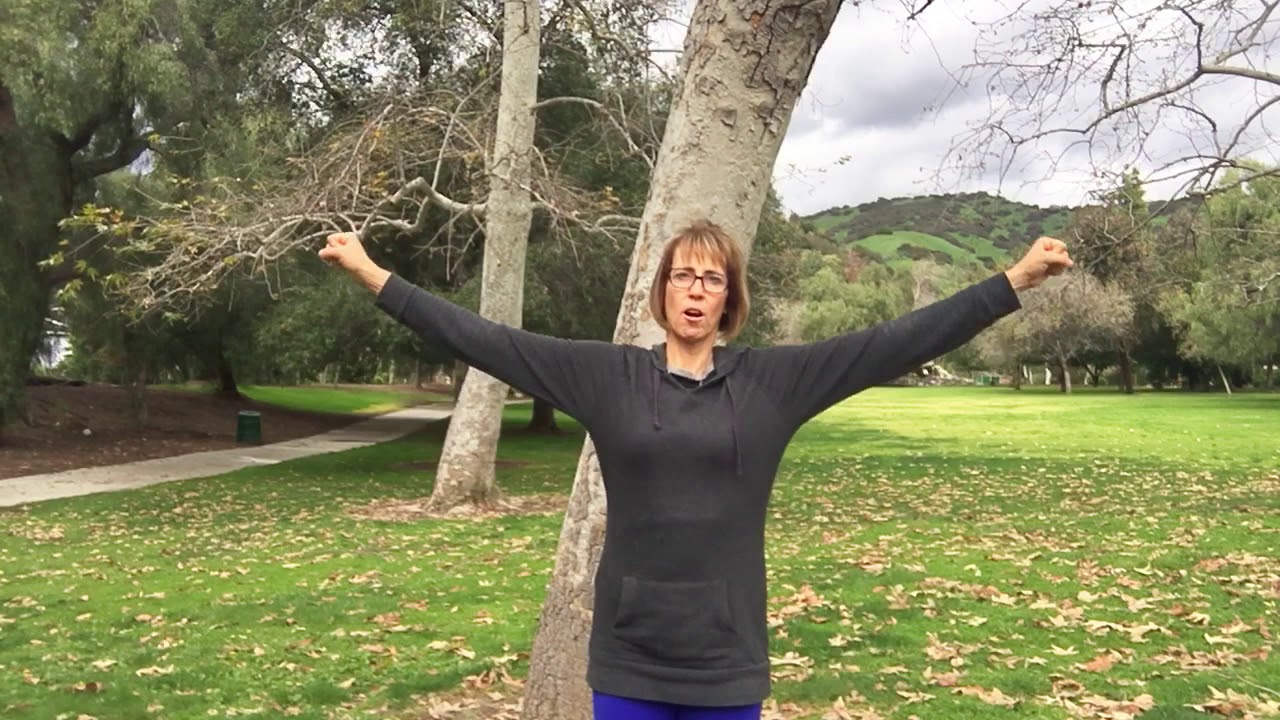 4 Minute Workout (created by Dr. Zack Bush)