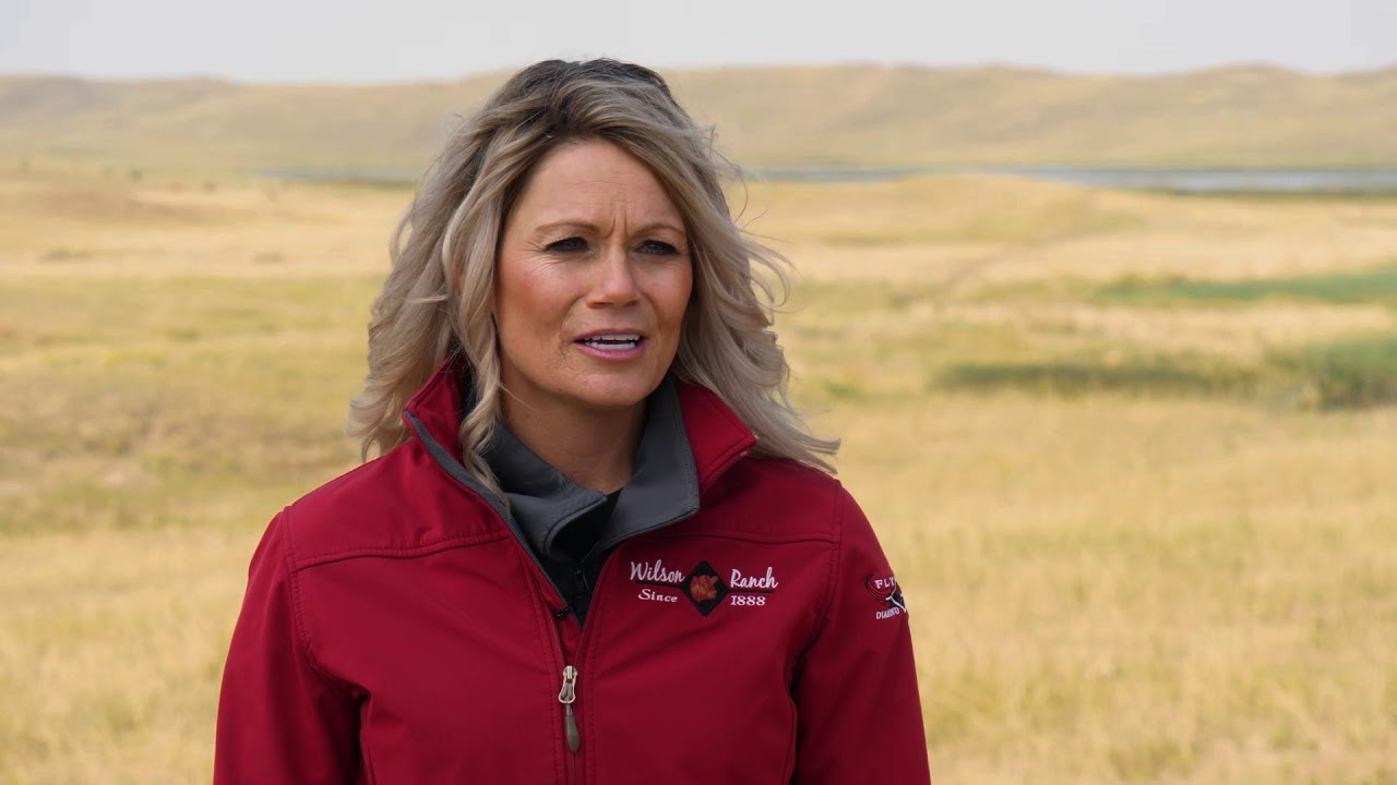 Igenity® DNA Testing | Flying Diamond Beef Testimonial