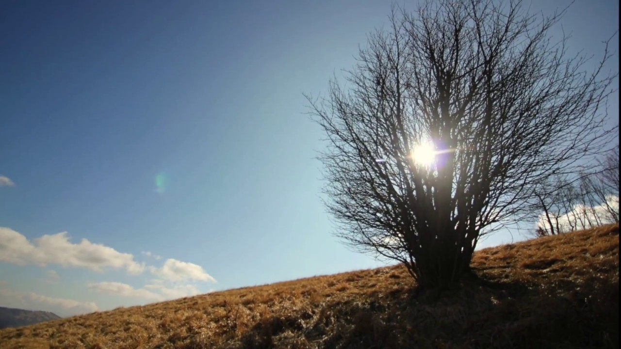 VAL D'AVETO - Un anno sull'Appennino ligure