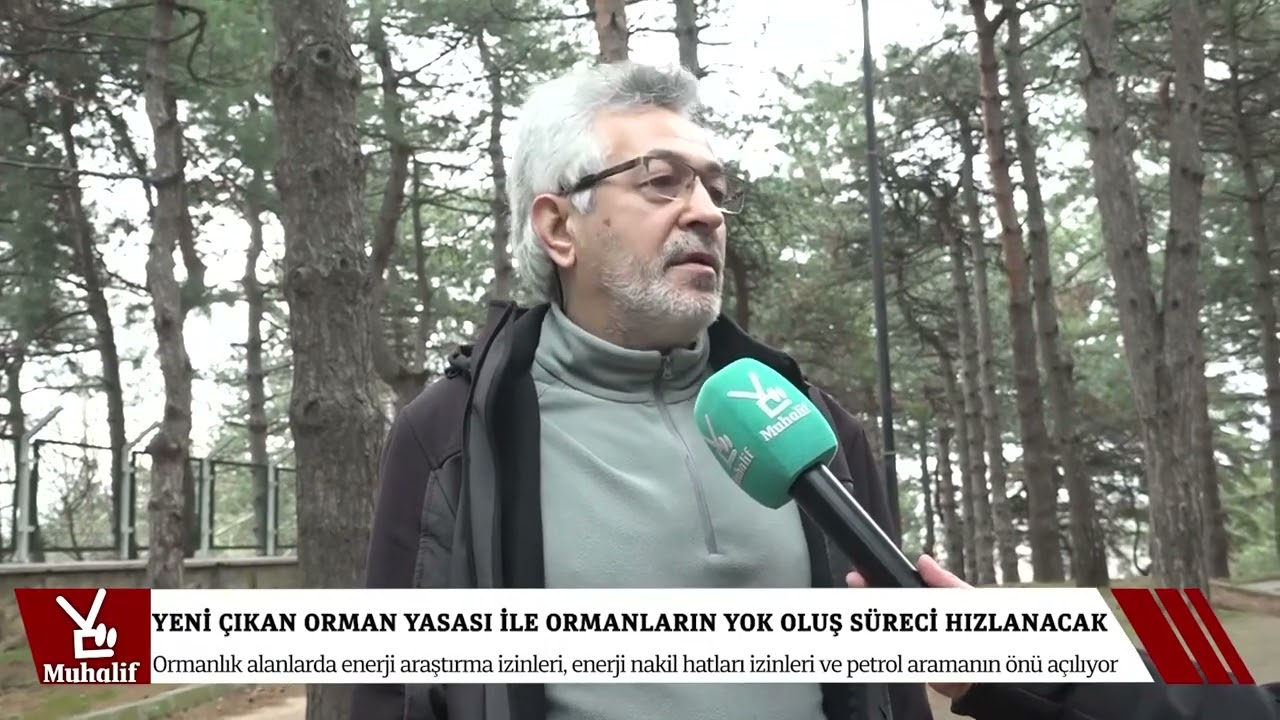 DOĞADER a&ccedil;ıklaması-Bursa Muhalif haberi,Orman yasası ile ormanların katliamı hızlanacak