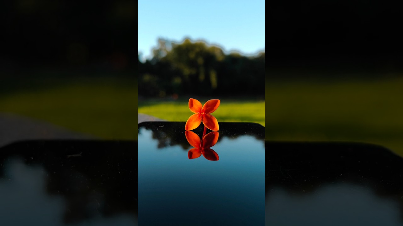 Try this Photography Idea with your phone 💡| Oppo Reno 10 Pro+ 5G | Easy Photography #youtubeshorts