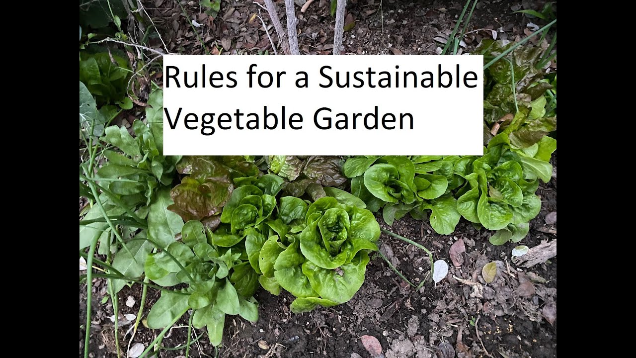 Rules for a Sustainable Vegetable Garden
