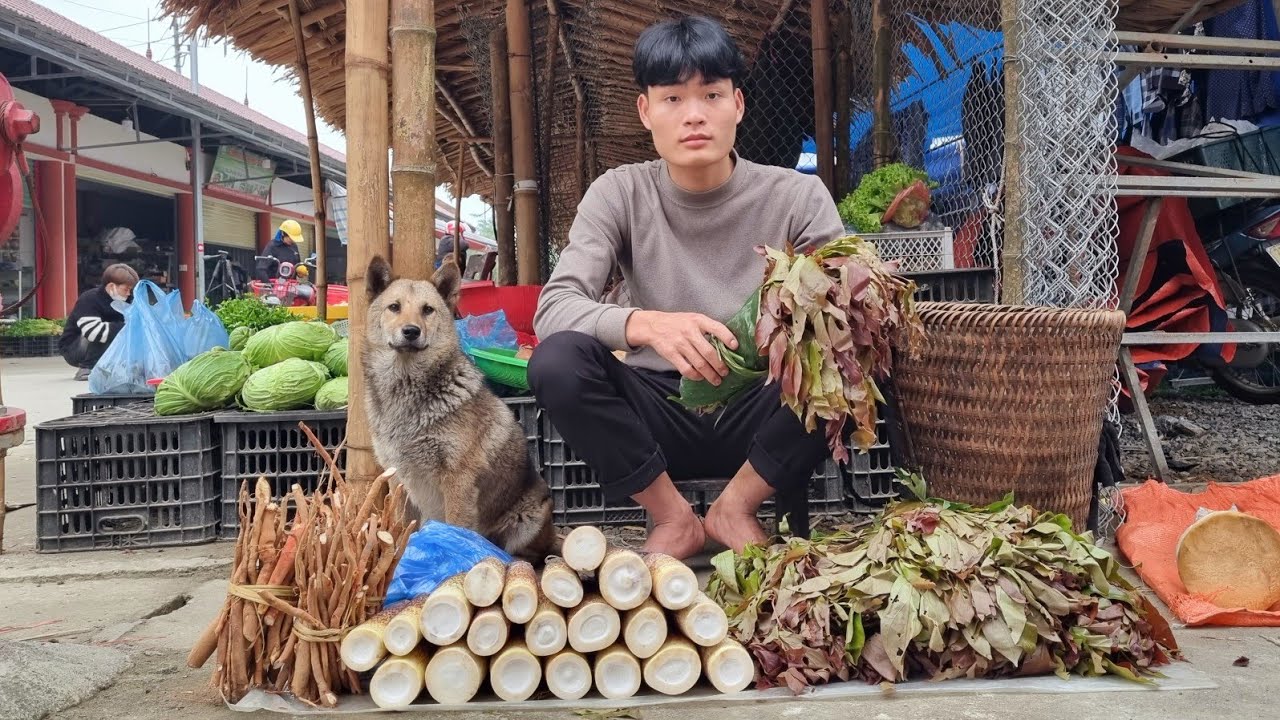 Harvest ginseng, bamboo shoots, vegetable, go to market to sell