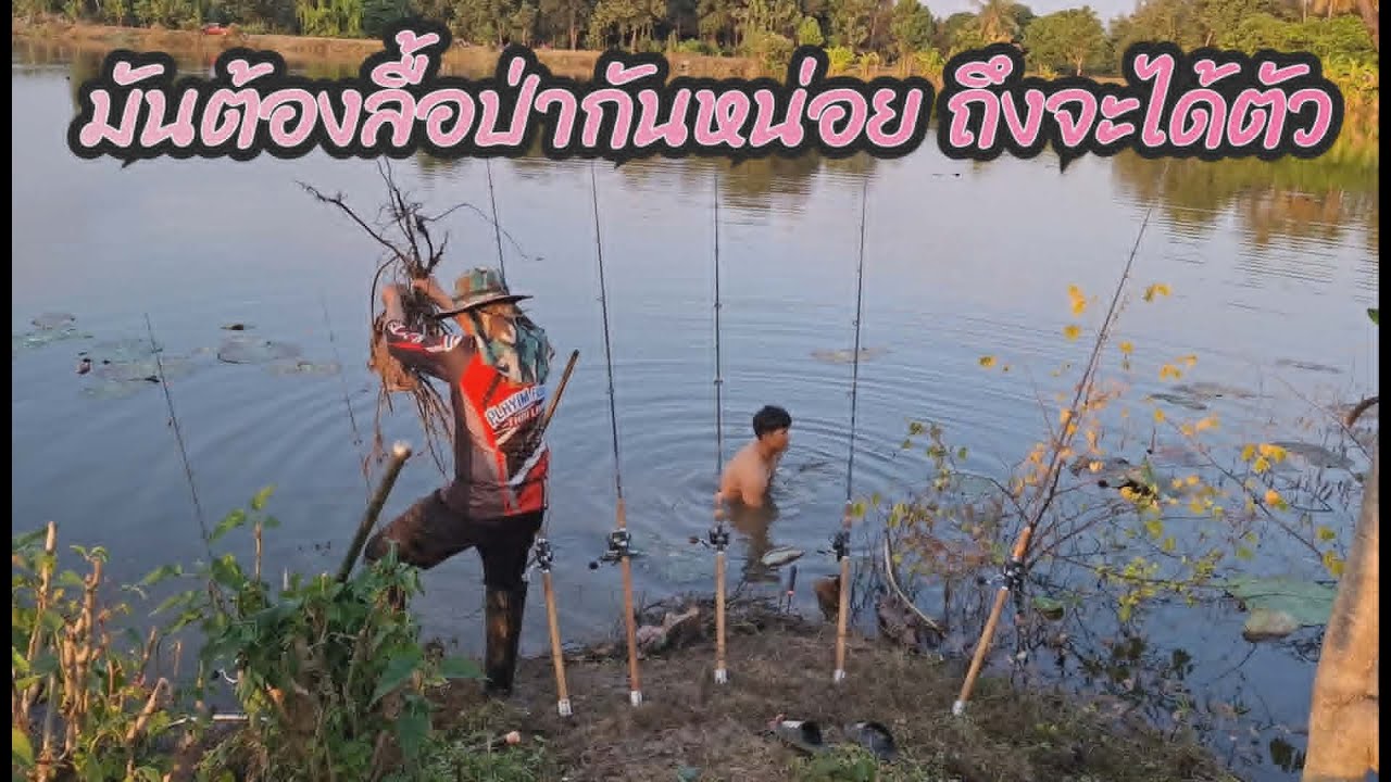 มันต้องลื้อป่ากันหน่อย ถึงจะได้ตัว (คลิปที่ 461)