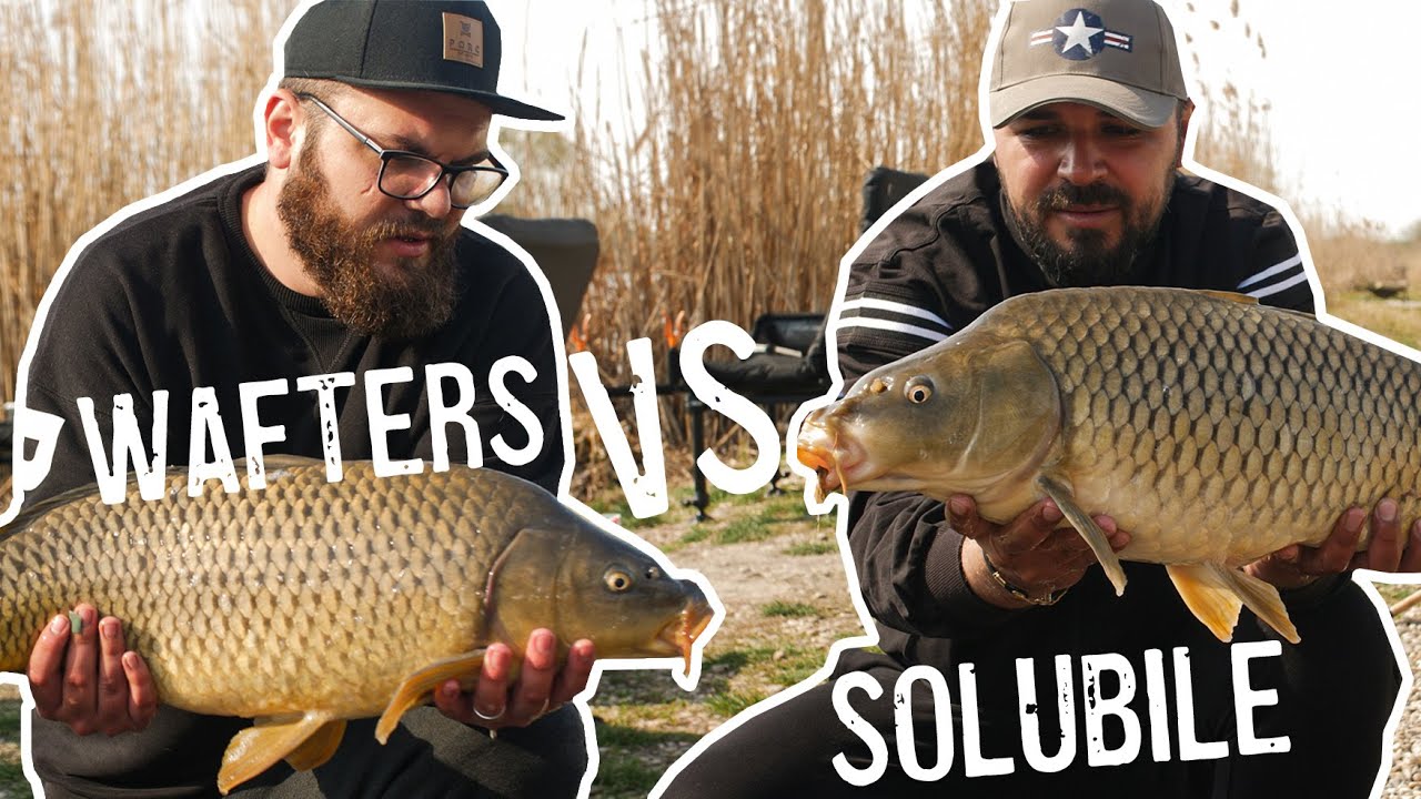 Pescuit la FEEDER pe Dyno Lake - Wafters vs Momeli de Substrat. Care este mai eficienta?