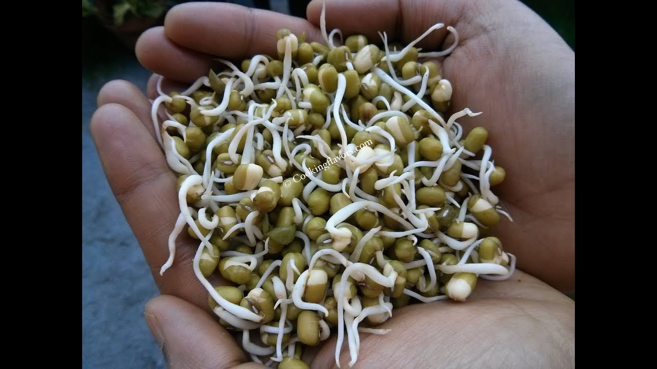 Sprouts | தானியங்களை முளை கட்டுவது எப்படி| முளைகட்டிய பச்சை பயறு