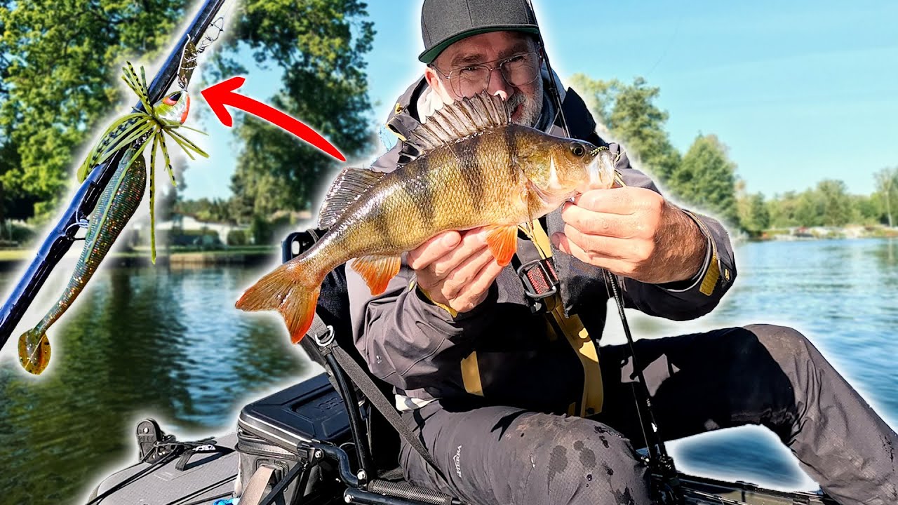 Fangautomat: Mini-CHATTER findet die Barsche im KANAL ganz allein! 