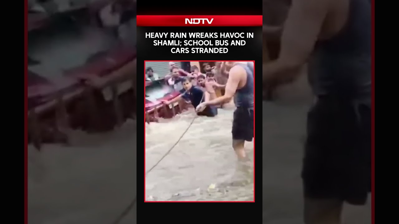 Shamli Flood Chaos: School Bus Stuck, Cars Trapped As Rain Brings City To Standstill