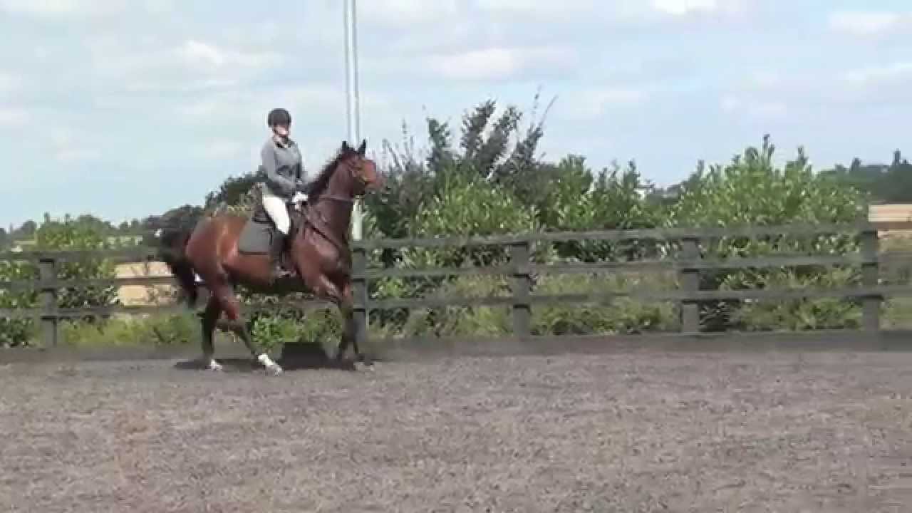 Henry Schooling - Aug 15, 2014
